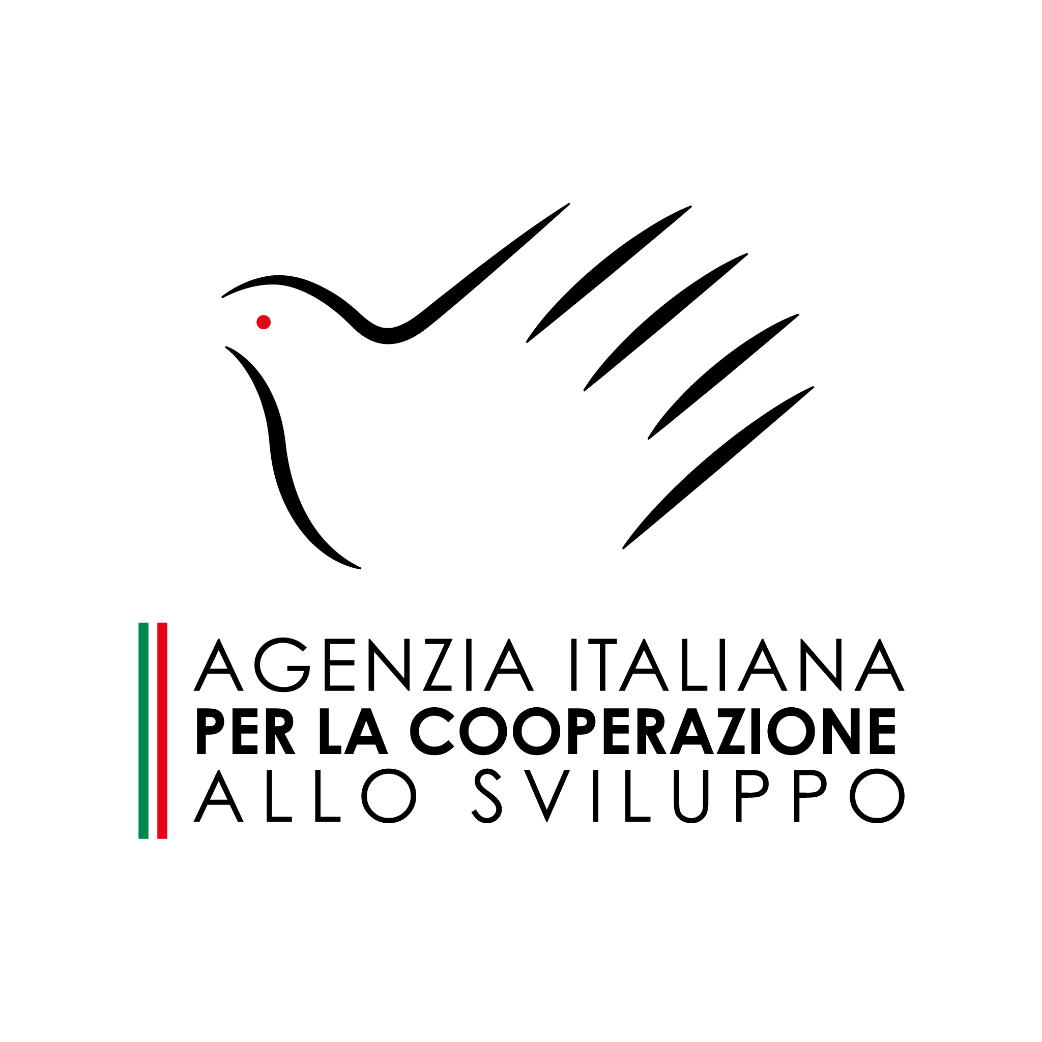 AICS ITA VERTICALE