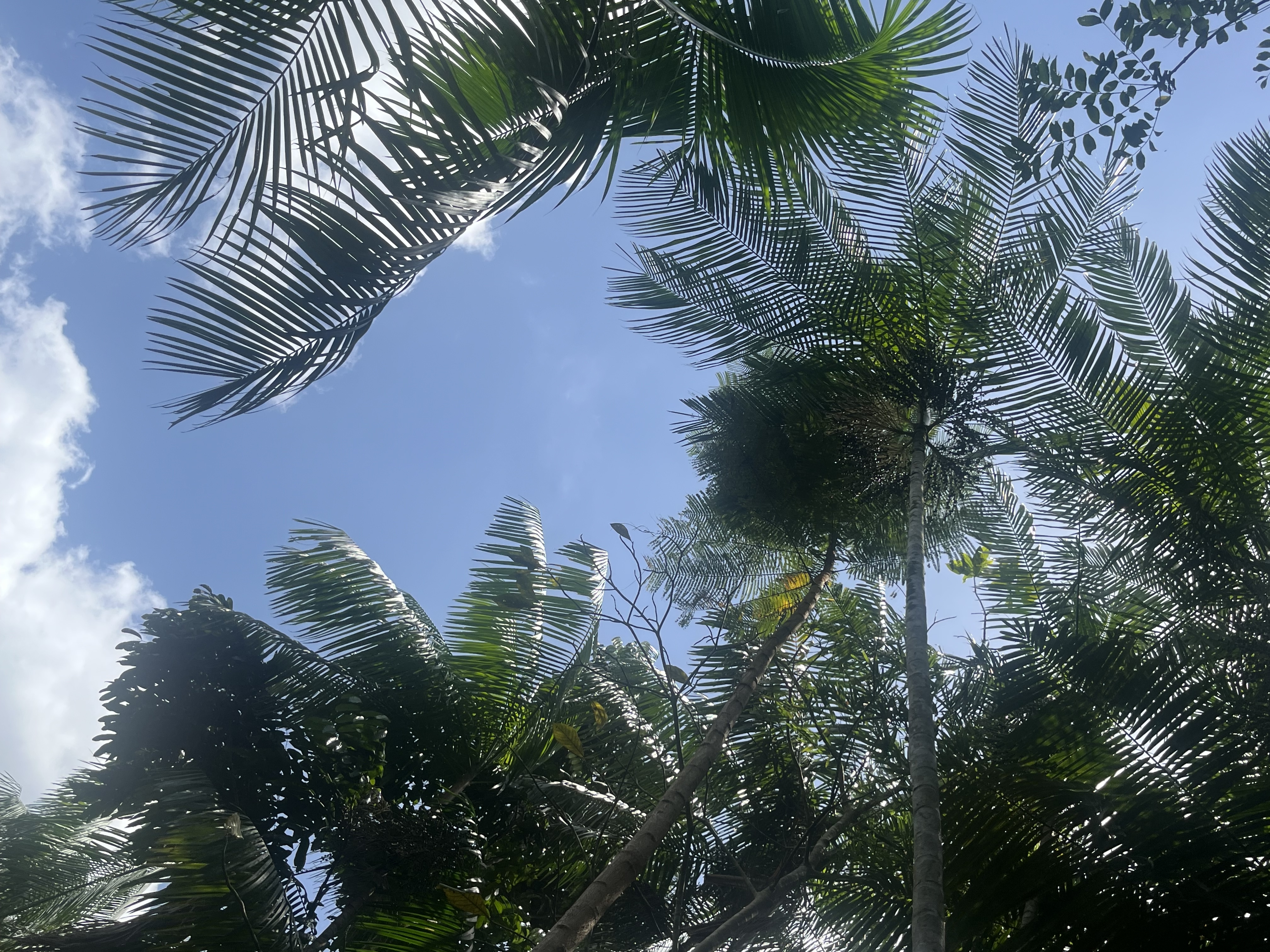 Speciale COP30_Brasile | 10/21 novembre 2025