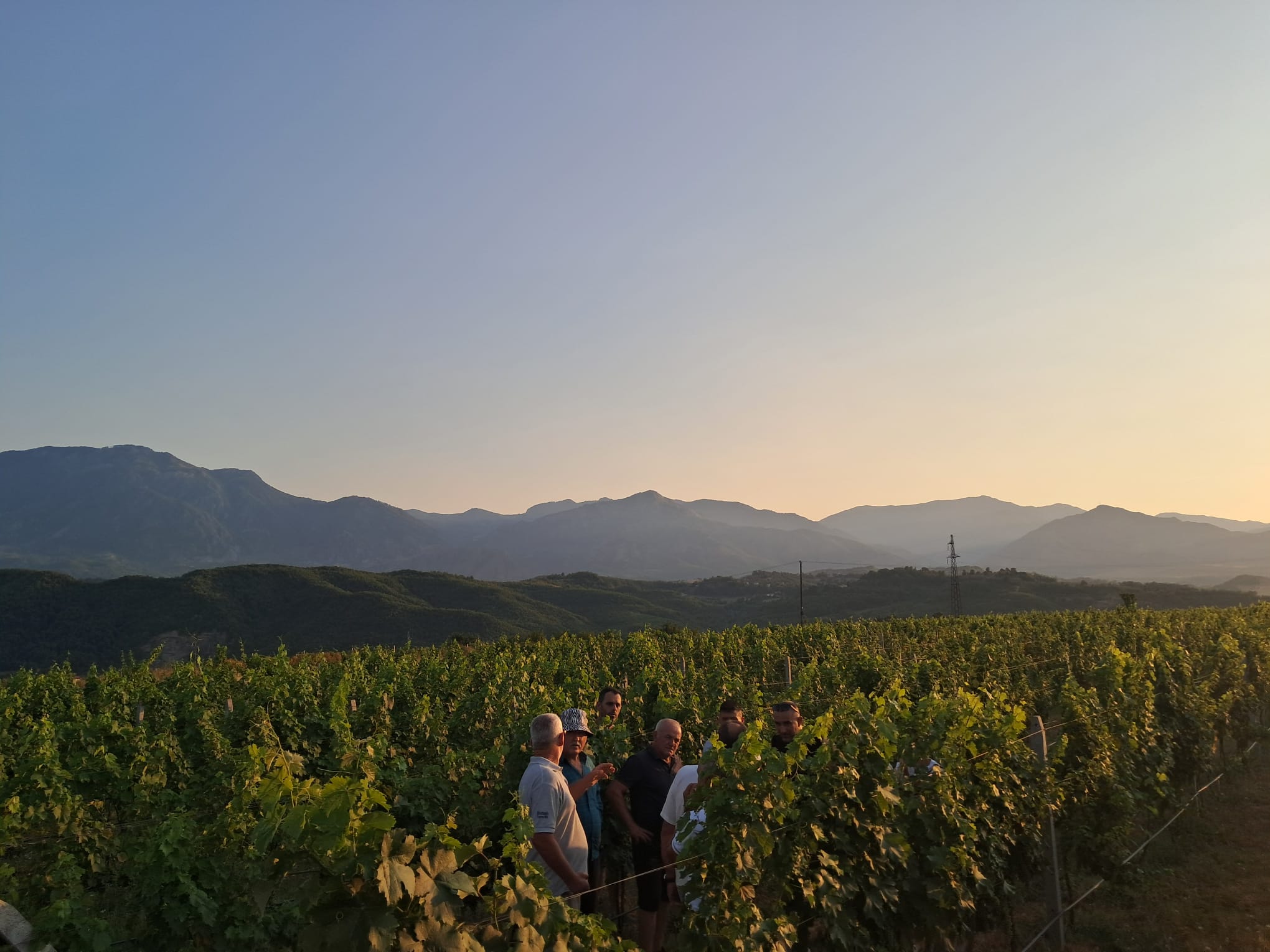 ALBANIA - Coltivare opportunità: sviluppo vitivinicolo per le comunità rurali albanesi